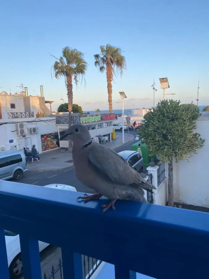 Mi Sueno Vv Lejlighed Puerto del Carmen